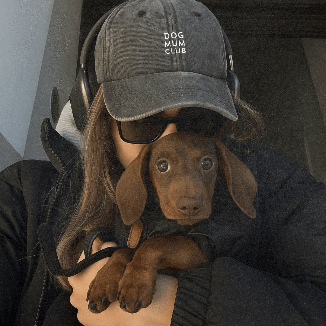 girl holding a small dog and wearing a grey cap that says Dog Mum Club