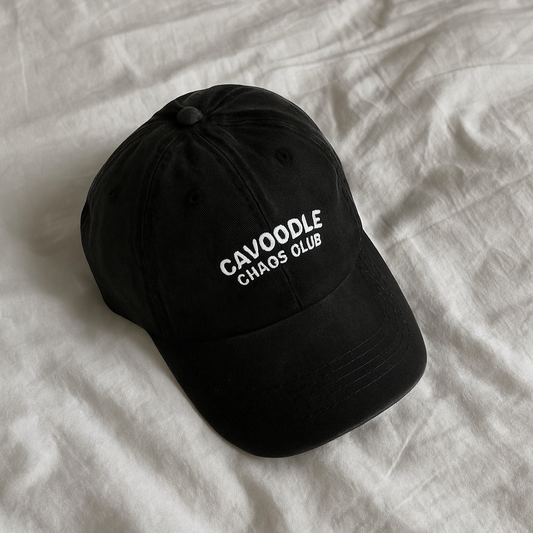 Black cap with 'Cavoodle Chaos Club' text on a textured white surface