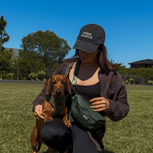 Person holding a small dog in a park with a clear blue sky. her cap says Wiener Wrangler