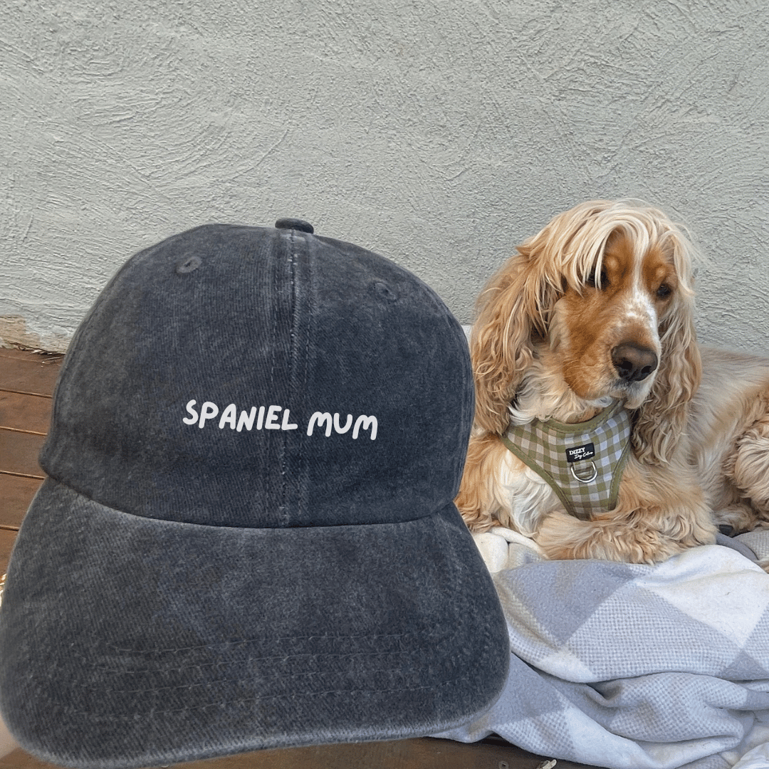 a grey hat that says spaniel mum next to a cocker spaniel dog