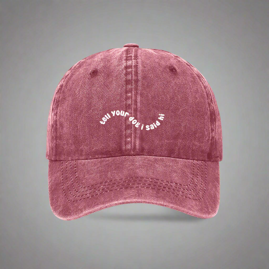 tell your dog i said hi wavy embroidered cap red