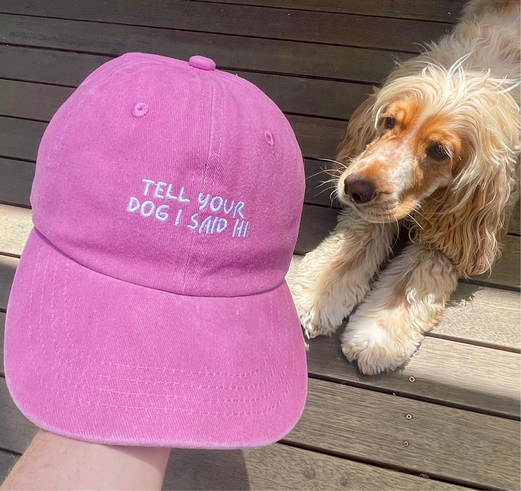 Pink cap that says “tell your dog I said hi”