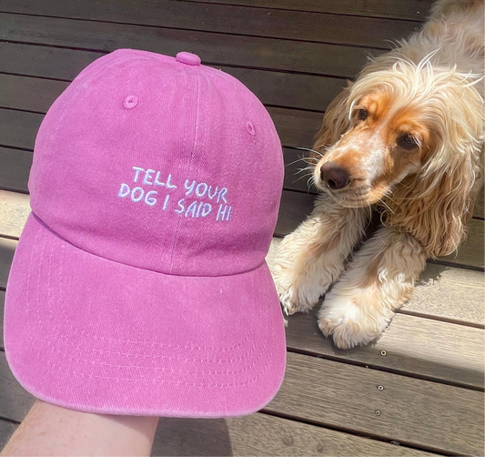 Pink cap that says “tell your dog I said hi”