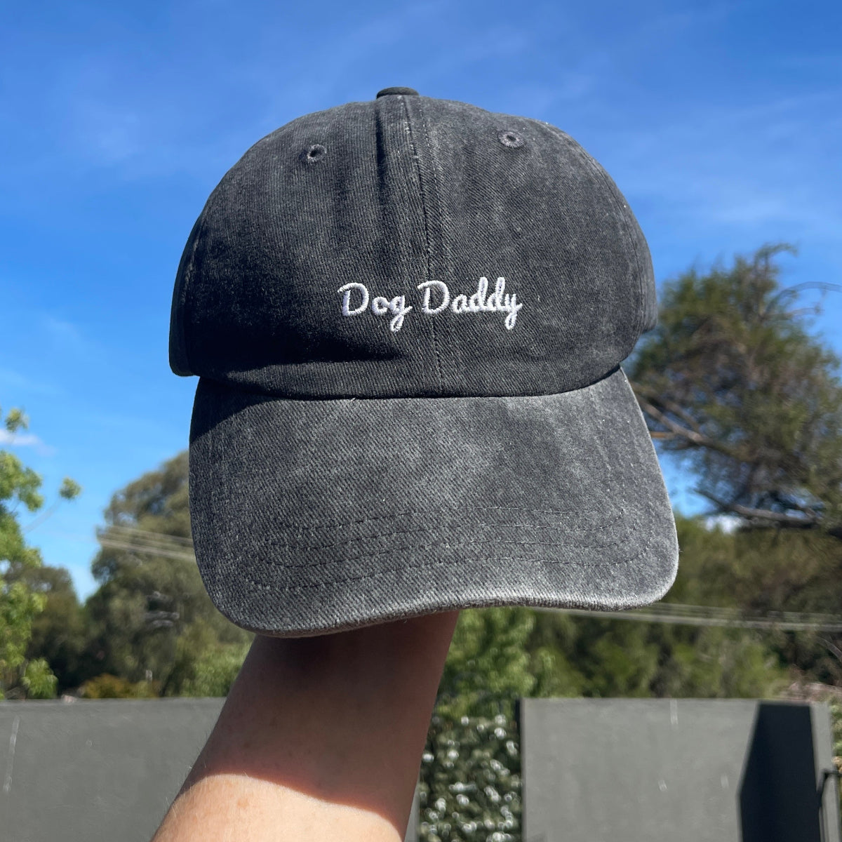 A gray baseball cap with 'Dog Daddy' embroidered on the front, held up against a sky background.
