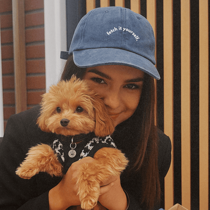 Person holding a small brown dog wearing a black sweater with a striped background