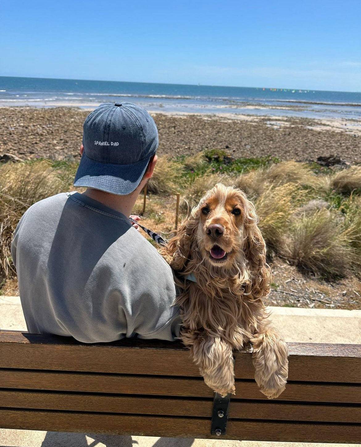 Young man with a dog on a bench by the beach. his cap is embroidered "spaniel dad"