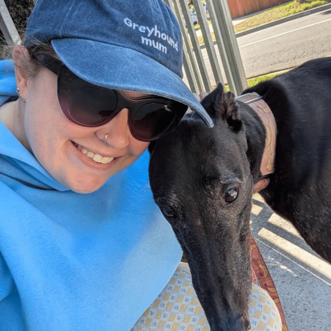 Greyhound mum 2.0