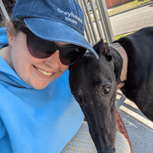 Greyhound mum 2.0