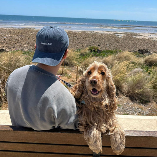 embroidered cap for dog dads that say "paniel dad"