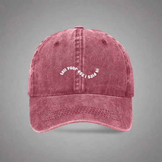 tell your dog i said hi wavy embroidered cap red